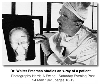 Freeman
                      studying xray