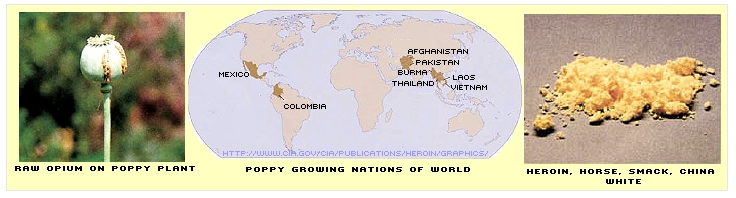 [Poppy Cultivation & Heroin]