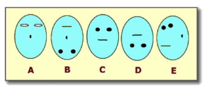 Infant
                Face Preferences