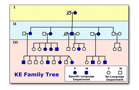 [KE Family Tree]