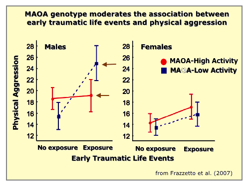 MAOA and Early
                Trauma