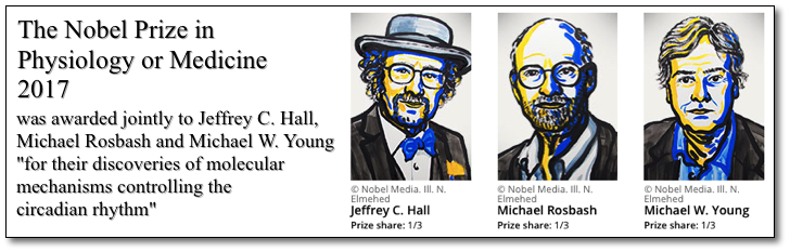 Nobel Prize 2017
            for Circadian Rhythm Discoveries