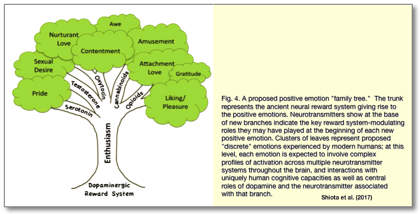 Positive Emotion family tree