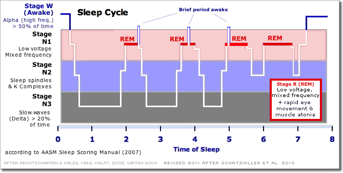 [Sleep Cycle, revised
                  2007)