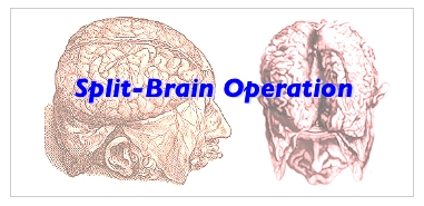 Split-Brain
            Operation