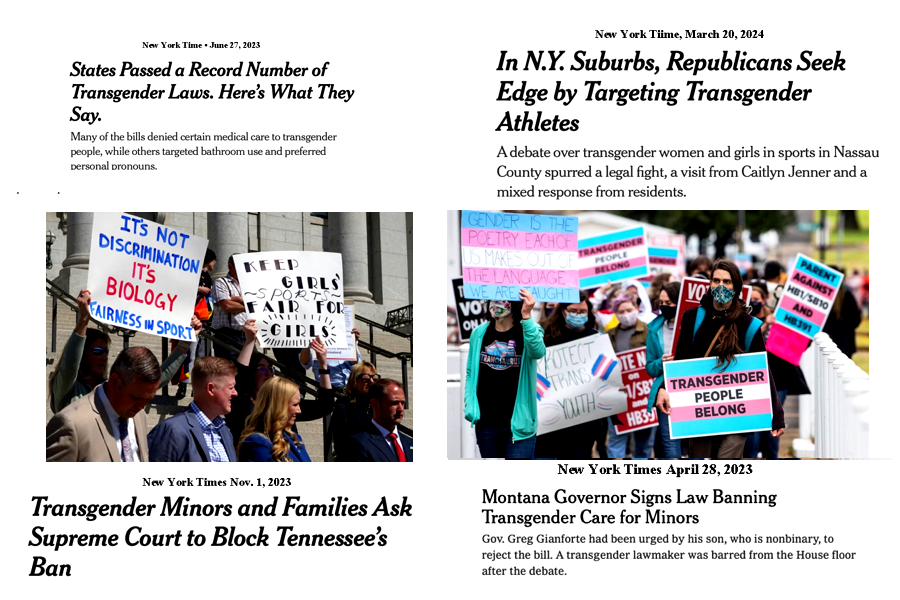 Politics of
          transgender