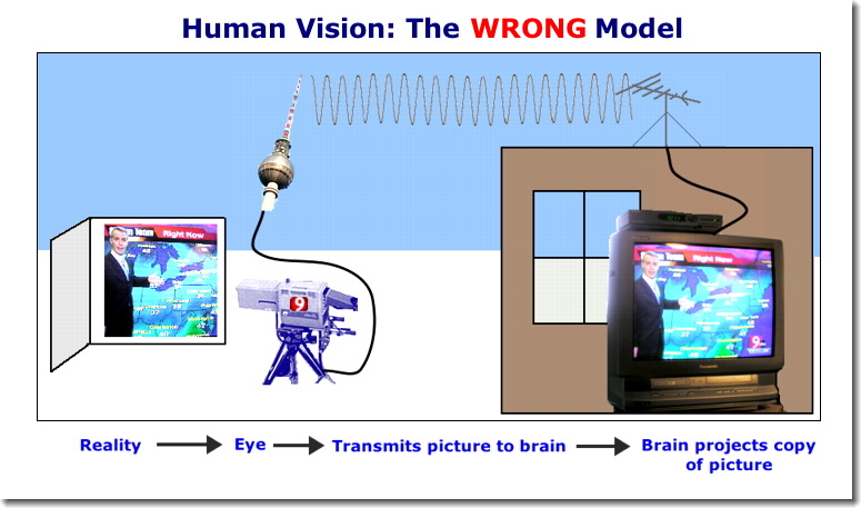 [Wrong Model of Vision]