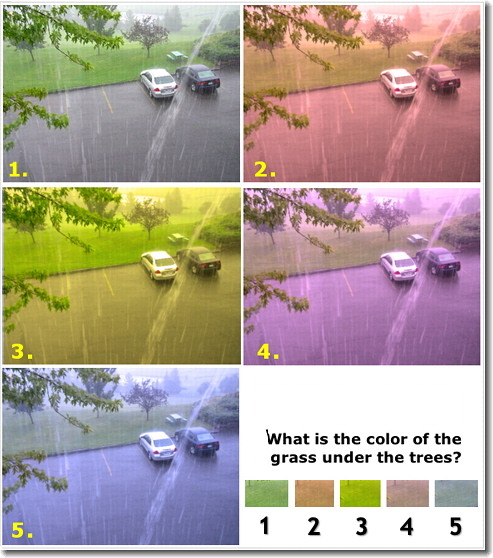 [Illustration of Color
                    Constancy]