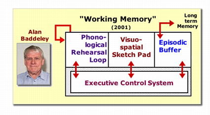 [Baddeley's Working Memory Model]
