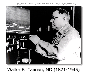 Walter B Cannon
