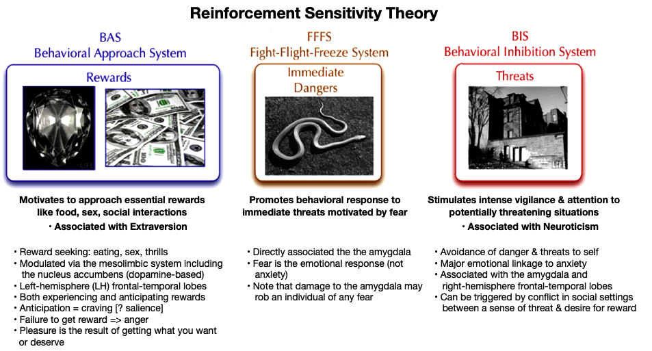 Reinforcement Sensitivity Theory