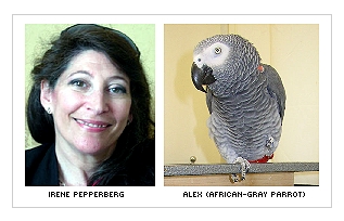[Alex the Parrot & Irene Pepperberg]