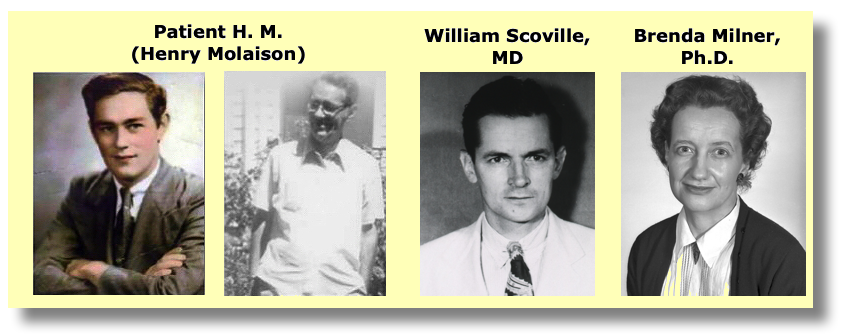 Molaison
              - Scoville - Milner