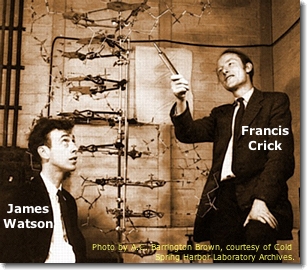 Watson & Crick