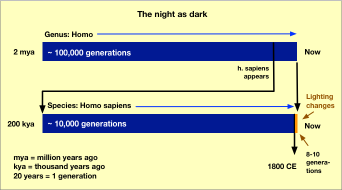 The evolution of humans and light