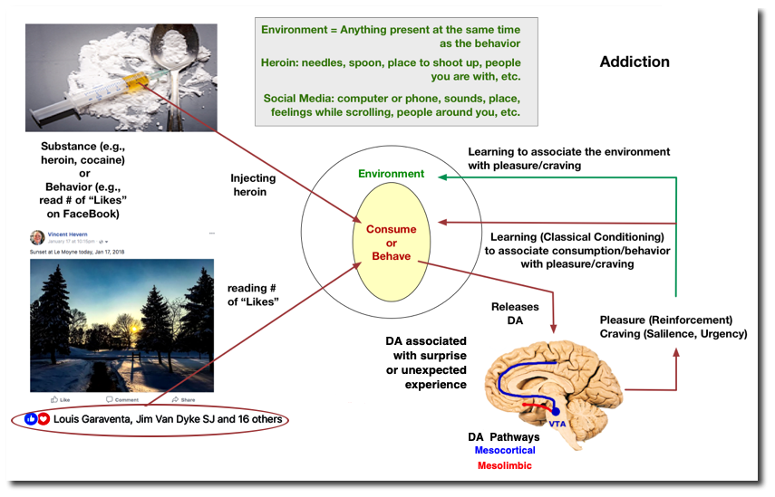 Modern
                Notions of Addiction