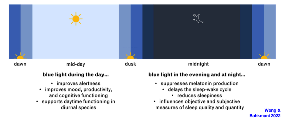 Blue light effects on melatonin