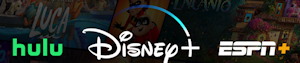 Disney
                  Plus