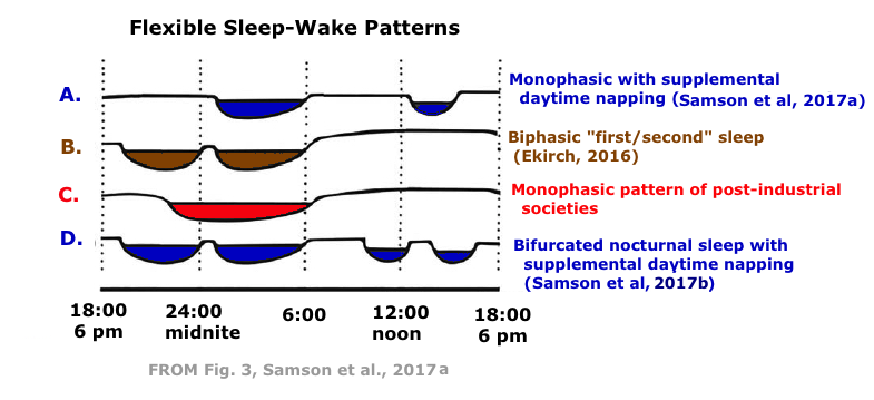 Flexible sleep-wake patterns