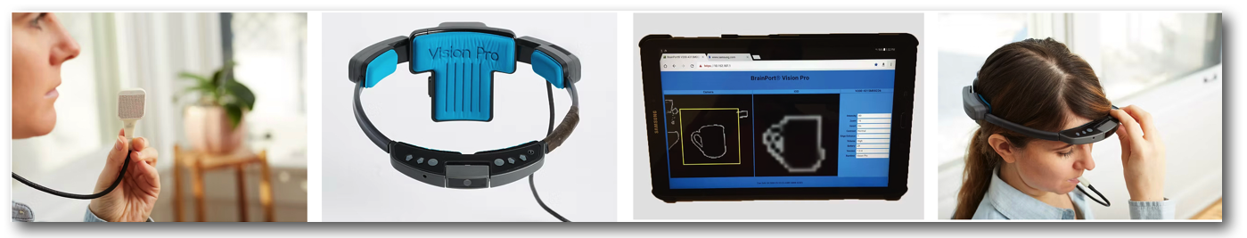 BrainPort Vision Pro
