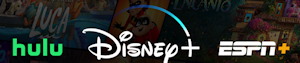Disney
                  Plus