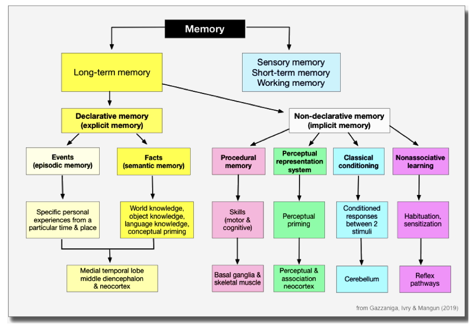 Chart of the types
              of memory