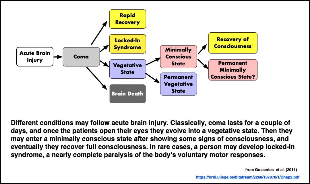 Disorders of Consciousness