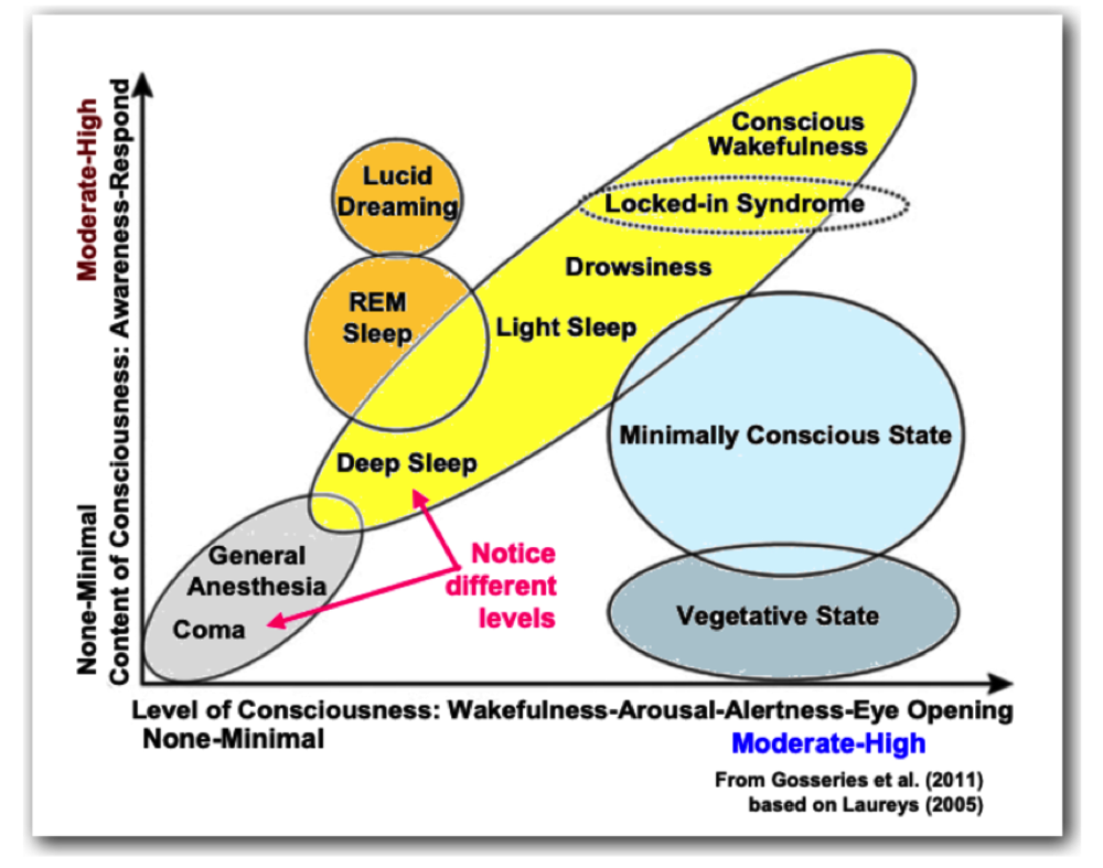 levels of consciousness