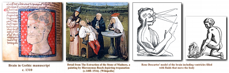 Medieval and
early modern brain
