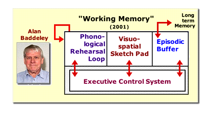 Working Memory Model