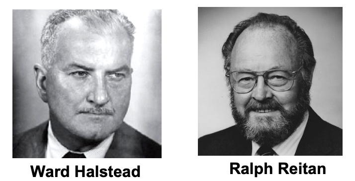 Hastead
              & Reitan photo