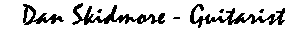 Text Box: Dan Skidmore - Guitarist
